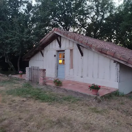 Maisonnette Vue Sur Foret *