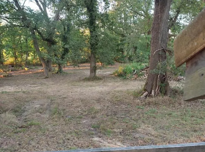 Maisonnette Vue Sur Foret Campagne (Landes)
