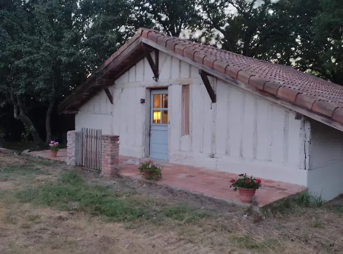 Maisonnette Vue Sur Foret *